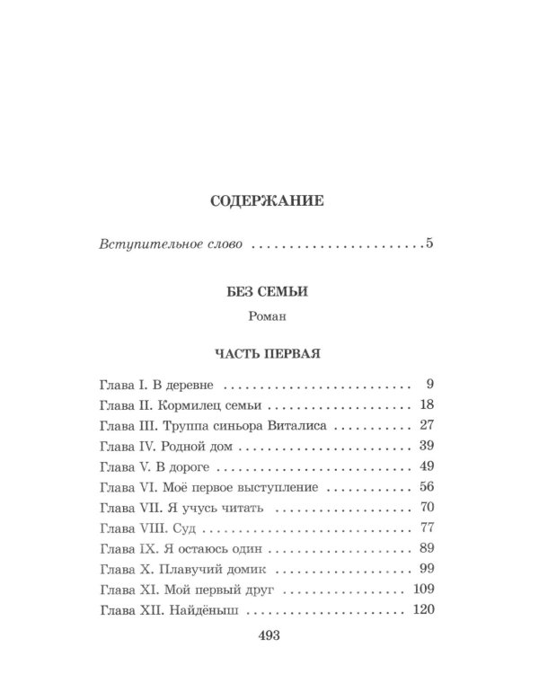 Дополнительное изображение книги «Без семьи»