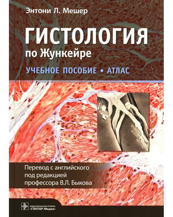 Гистология по Жункейре. Атлас: Учебное пособие