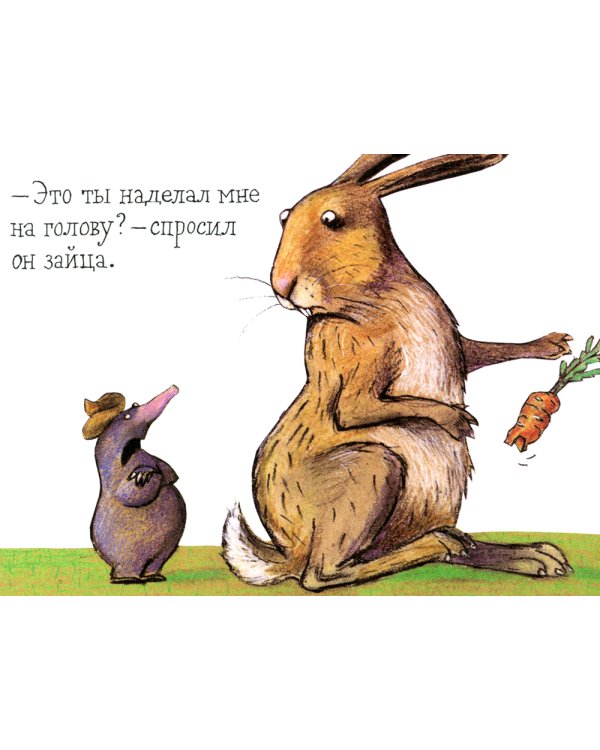 Маленький крот, который хотел знать, кто наделал ему на голову