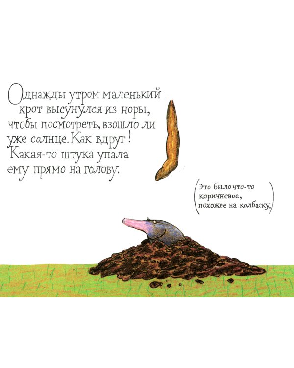 Маленький крот, который хотел знать, кто наделал ему на голову