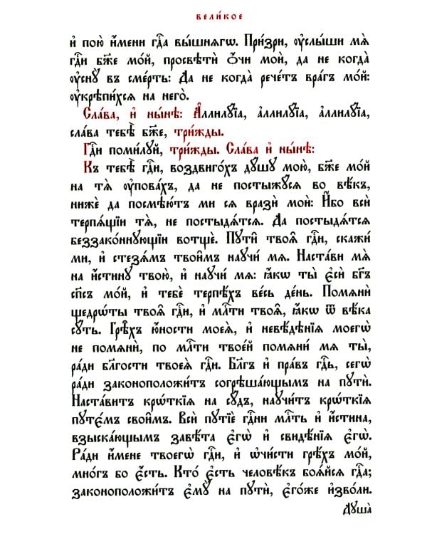 Сырная седмица