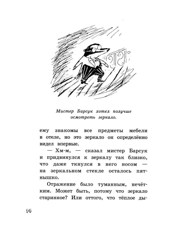 Мистер Барсук и волшебное зеркало: повесть