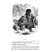 Белый вождь. Квартеронка. Оцеола, вождь семинолов. Всадник без головы. Полное издание в одном томе