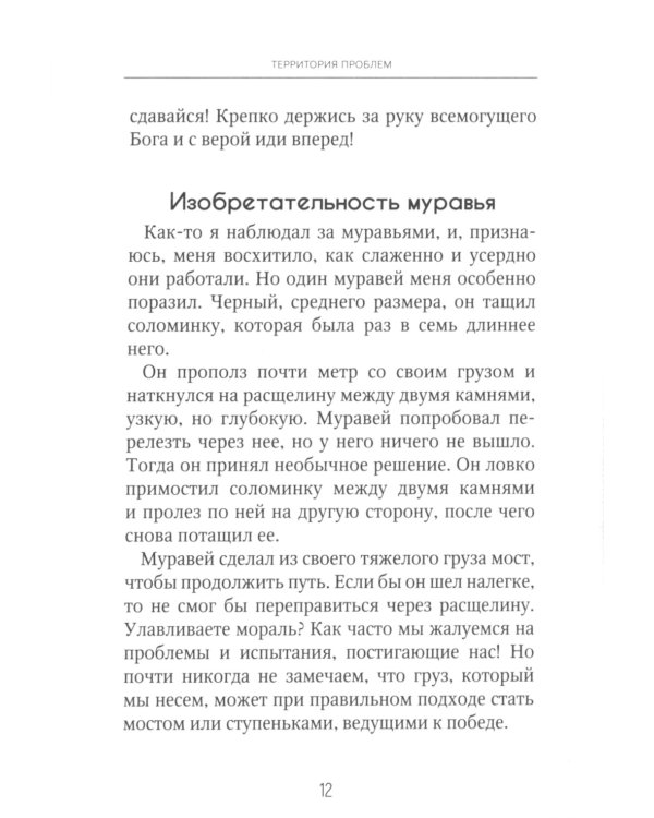 Территория проблем
