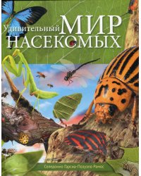 Удивительный мир насекомых