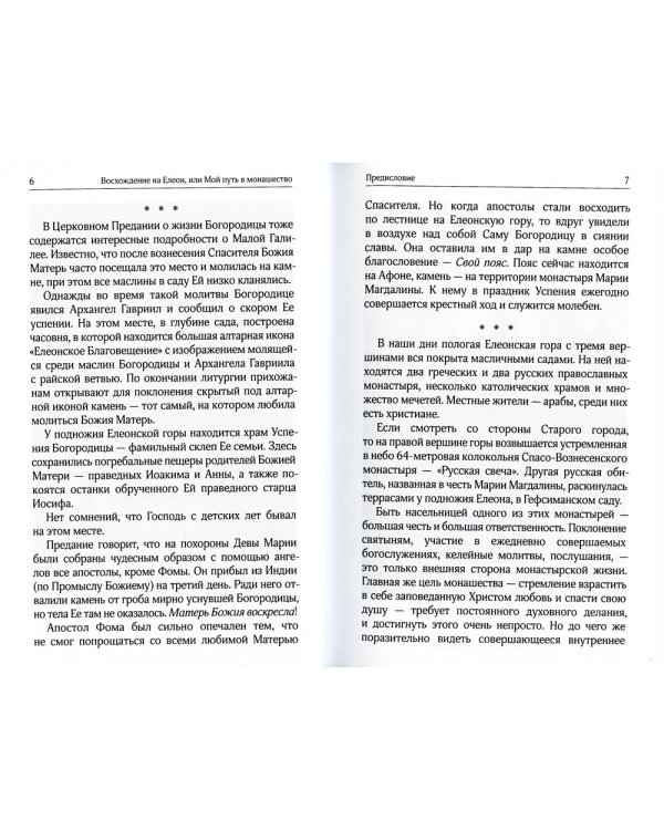 Восхождение на Елеон, или Мой путь в монашество