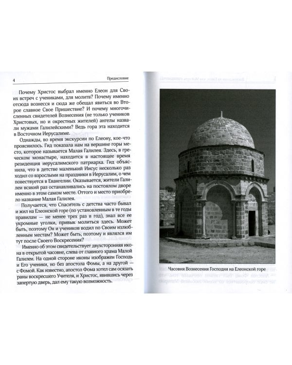 Восхождение на Елеон, или Мой путь в монашество