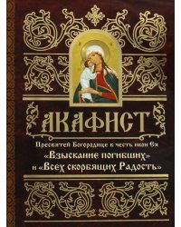 Акафист Пресвятей Богородице в честь иконы Ея "Взыскание погибших" и "Всех скорбящих Радость"