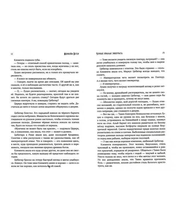 Черные крылья зиккурата