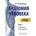 Анатомия человека. Атлас. В 3 т. Т. 3: Неврология, эстезиология