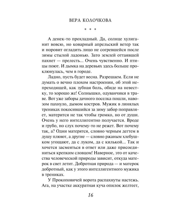 Дополнительное изображение книги «Исповедь свекрови: роман»