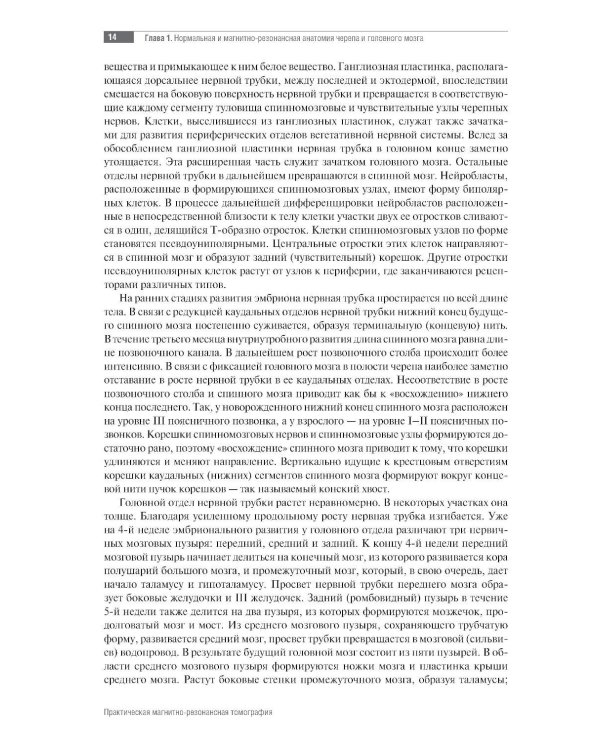 МРТ. Головной мозг: руководство для врачей