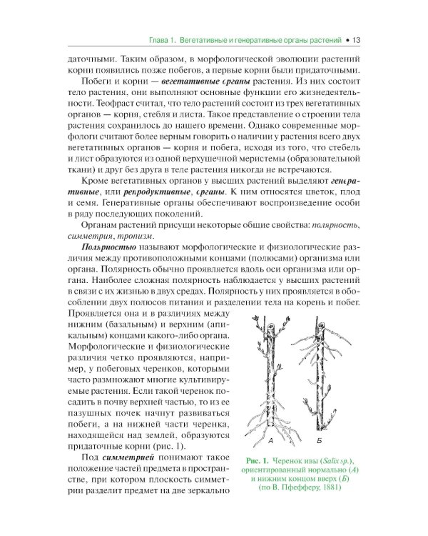 Ботаника: Учебник. 2-е изд., испр