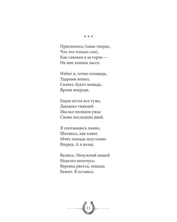 Дополнительное изображение книги «Подкова. Поэтический сборник»
