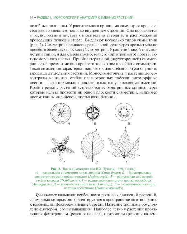 Ботаника: Учебник. 2-е изд., испр