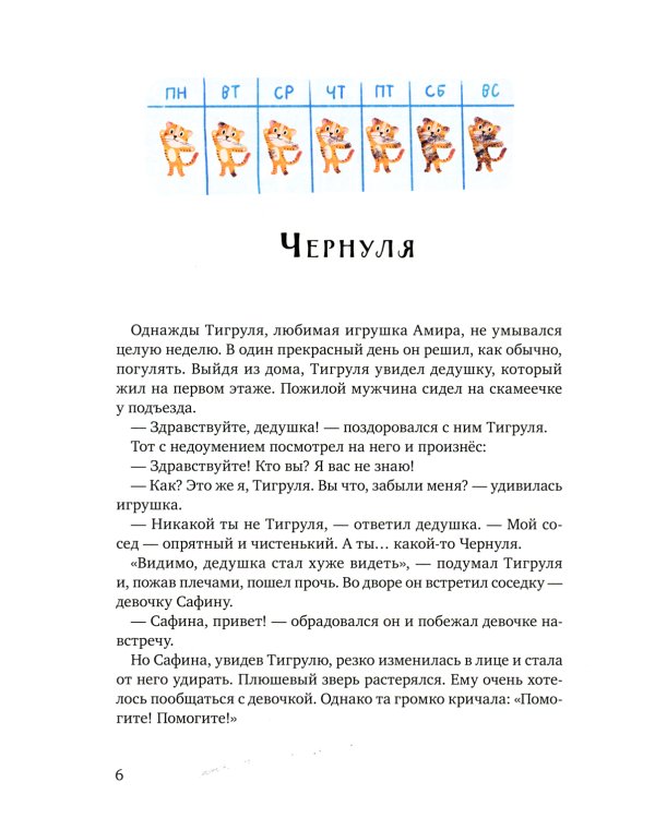 Волшебные башмачки. Сказки про мальчика Амира и его друзей