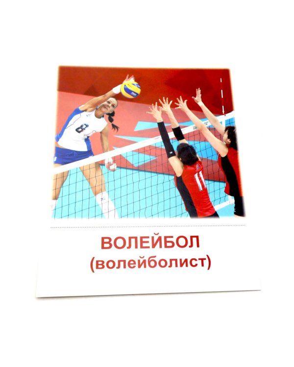 Виды спорта. 16 демонстрационных картинок с текстом на обороте
