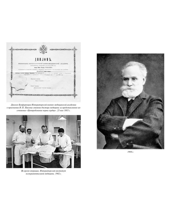 Естествознание и мозг. Сборник главных трудов великого физиолога