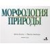 Морфология природы. Атлас вариантов формы зубов Морфология природы. Атлас вариантов формы зубов