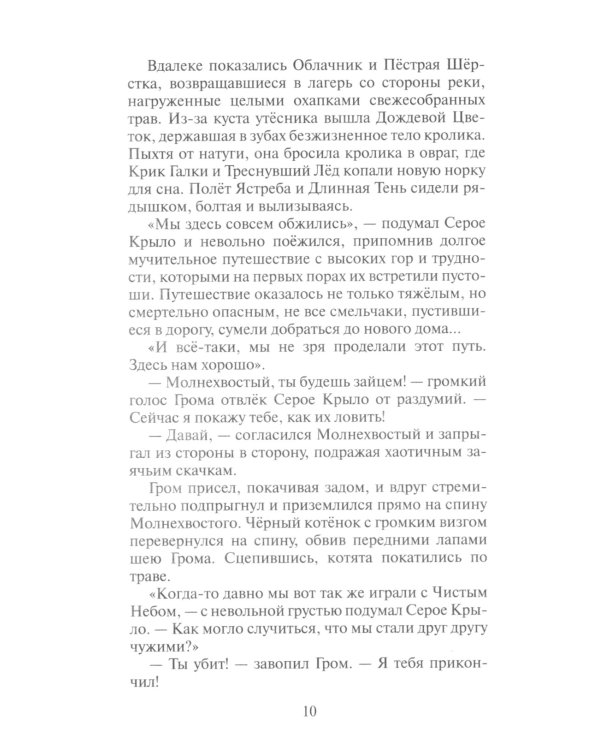 Коты-воители. Юность Грома