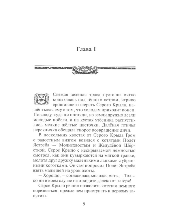 Коты-воители. Юность Грома