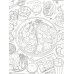 Вкусы Азии: книжка-раскраска