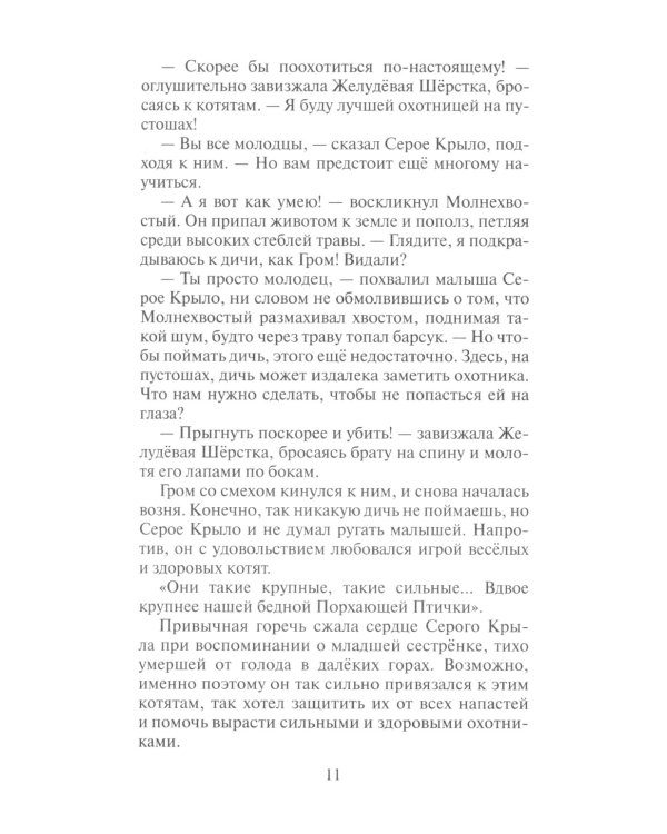 Коты-воители. Юность Грома