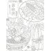 Вкусы Азии: книжка-раскраска