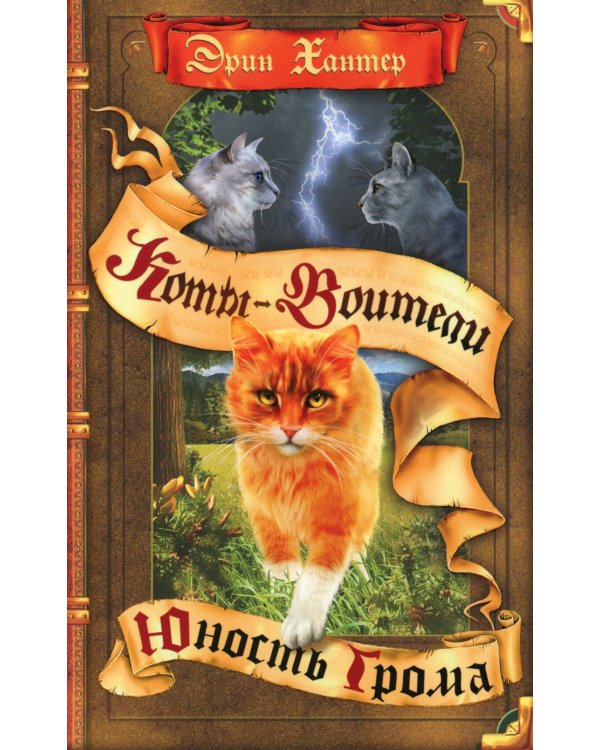 Коты-воители. Юность Грома