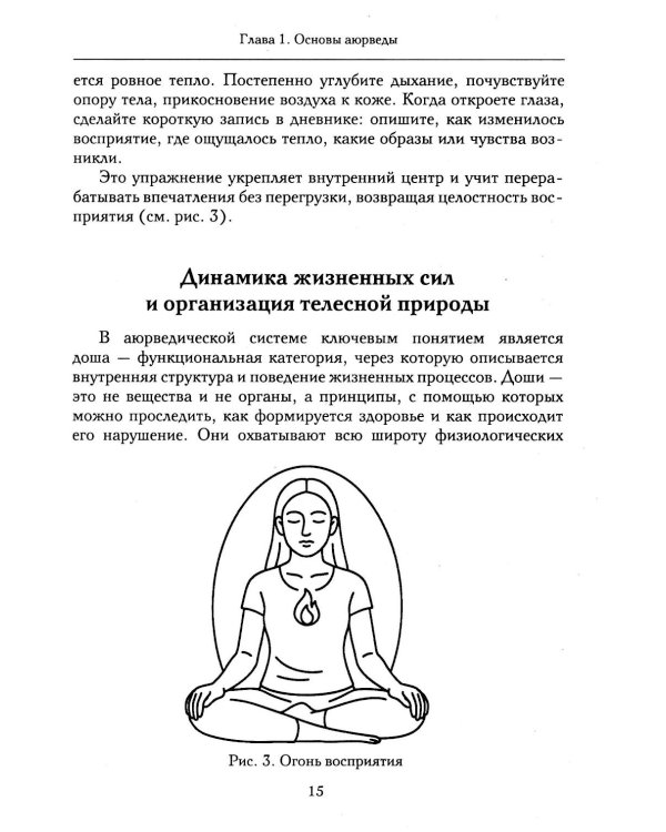 Гипноз в аюрведе. Нейрогипноз и ведические практики. Интегральный метод саморегуляции
