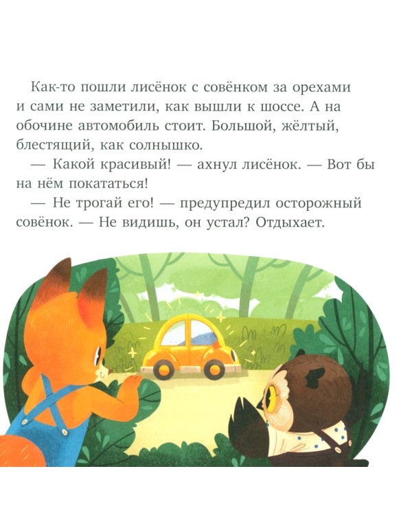 Дополнительное изображение книги «Правила поведения и безопасности в машине»