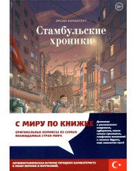 Стамбульские хроники