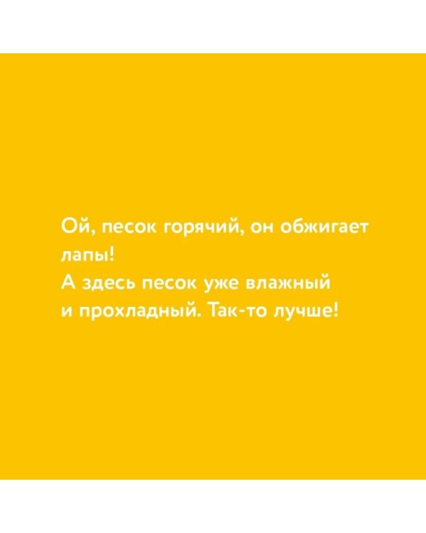 Медвежонок Тепа отдыхает на море