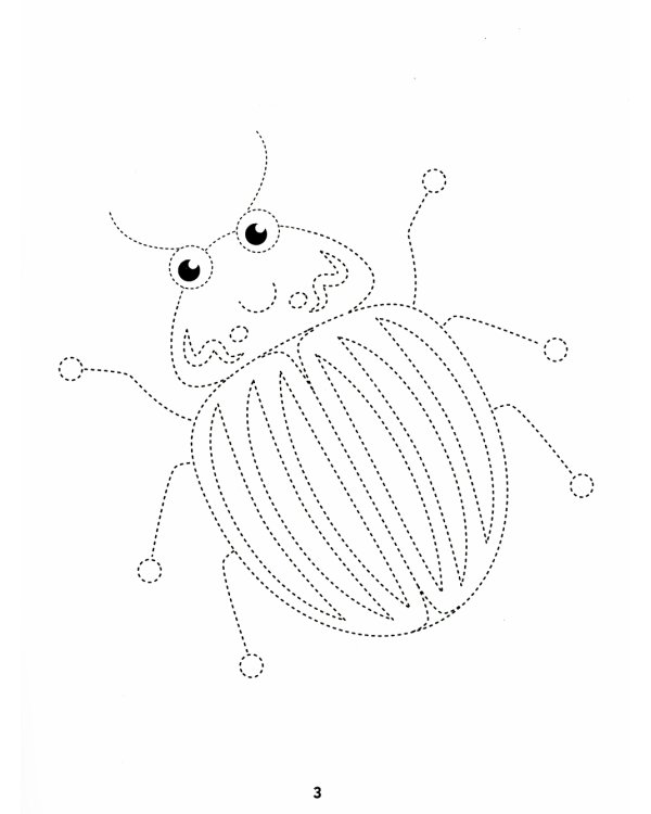 Жучки. Обведи и раскрась. Книжка-раскраска