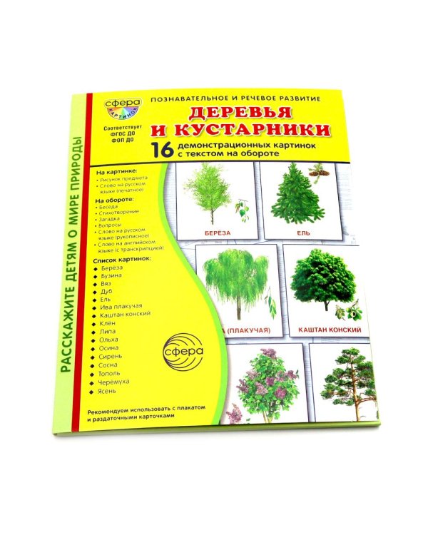 Деревья и кустарники. 16 демонстрационных картинок с текстом на обороте