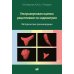 Ультразвуковая оценка рецептивности эндометрия: методические рекомендации. 2-е изд