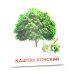 Деревья и кустарники. 16 демонстрационных картинок с текстом на обороте