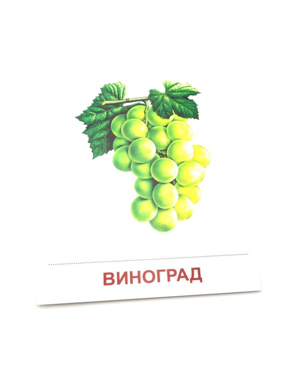 Фрукты. 16 демонстрационных картинок с текстом на обороте