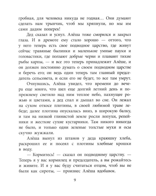 Дополнительное изображение книги «Маленький солдат: рассказы»