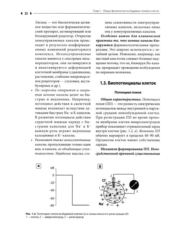 Физиология: Учебник для высшего сестринского образования