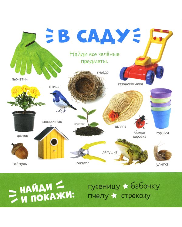 Первые слова