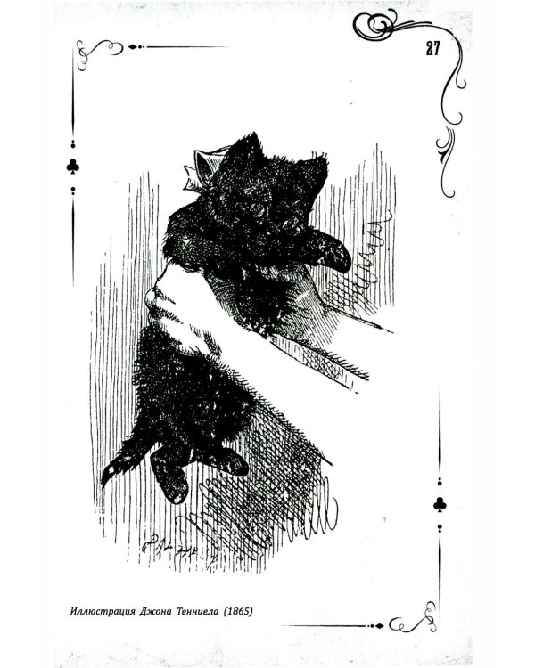 Соня в царстве Дива