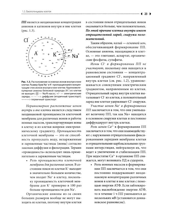 Физиология: Учебник для высшего сестринского образования