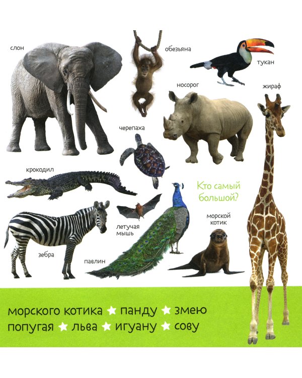 Первые слова