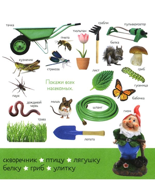 Первые слова