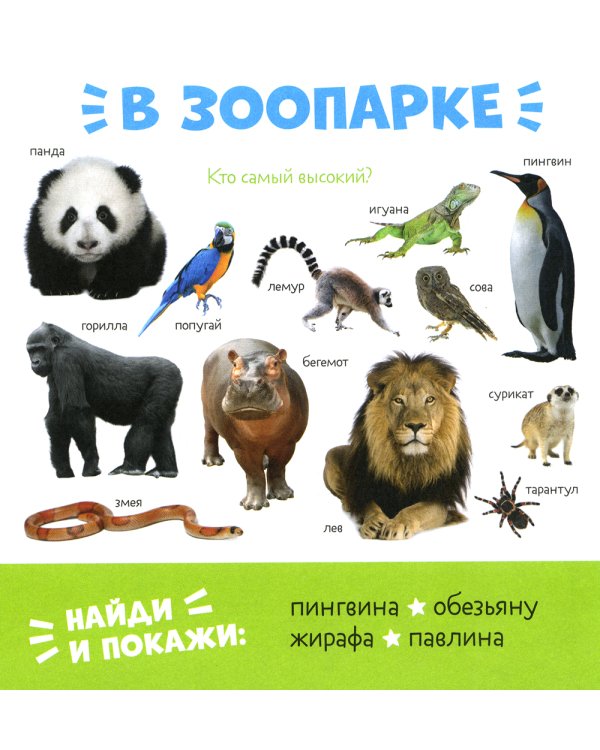 Первые слова