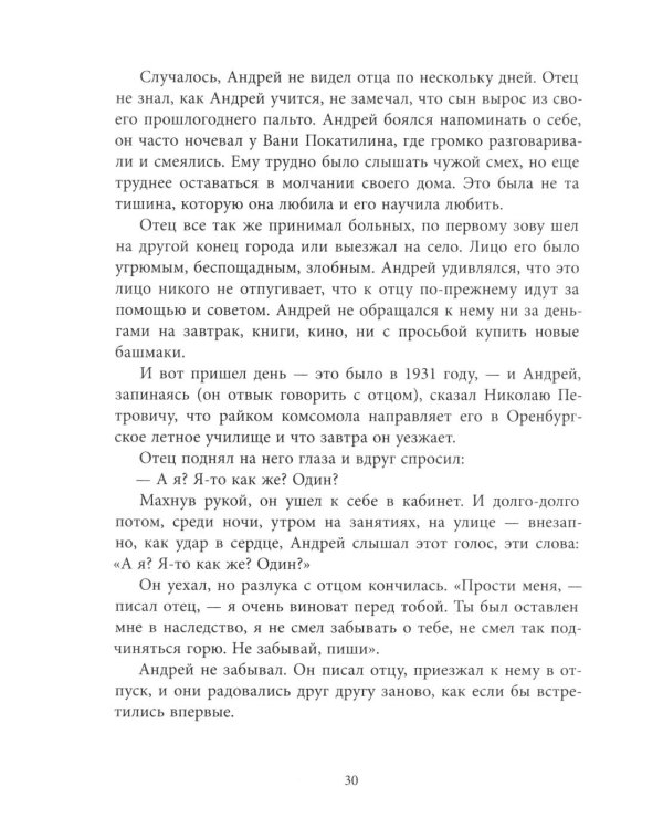 Дополнительное изображение книги «Семейное счастье: повесть»