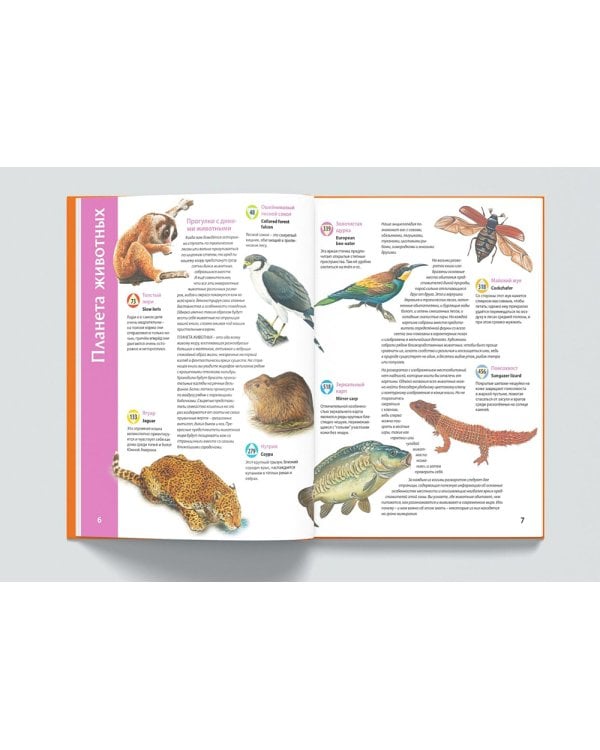Планета животных. Книга для говорящей ручки "Знаток"