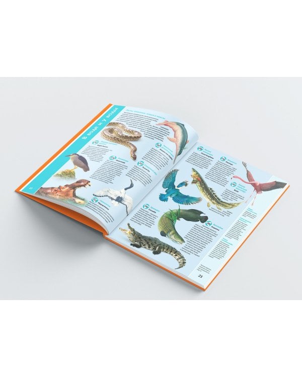 Планета животных. Книга для говорящей ручки "Знаток"