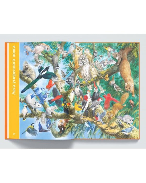 Планета животных. Книга для говорящей ручки "Знаток"